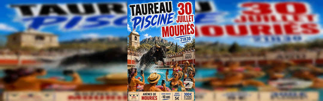 Taureau Piscine à Mouriès !
