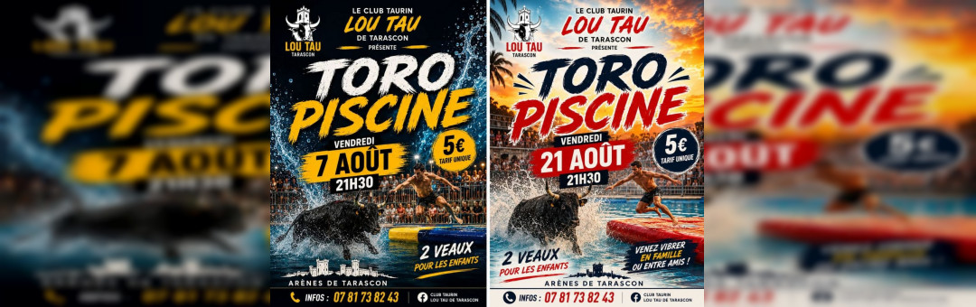 Taureau piscine à Tarascon