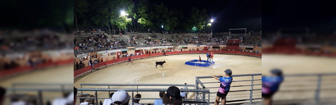 Taureau Piscine dans les arènes Saint Martin de Crau
