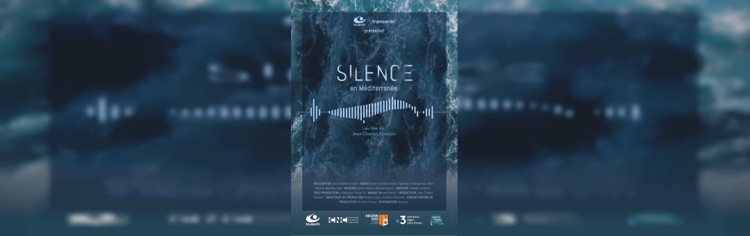 Venez écouter la mer : projection du film Silence en Méditerranée (séance gratuite) sur la plage du Rouet à Carry le Rouet !