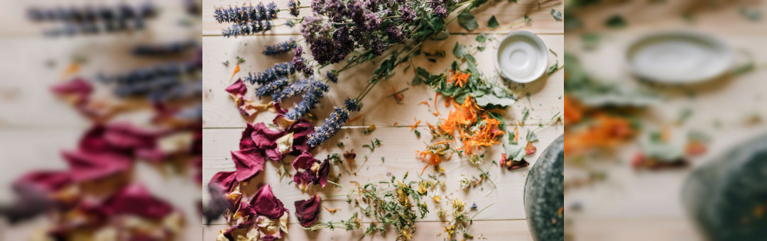 Atelier « Compose ta tisane » à Pélissane