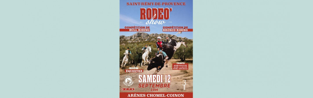 Aller voir un rodéo dans les arènes à Saint-Rémy !