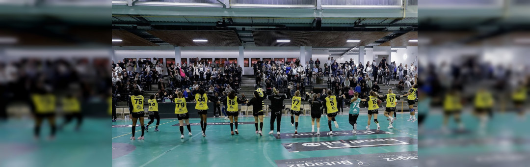 Ligue Butagaz énergie: Plan de Cuques handball contre Brest