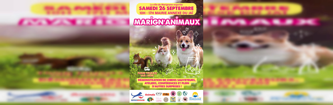 Marign&rsquo;Animaux : nos amis les bêtes à l&rsquo;honneur