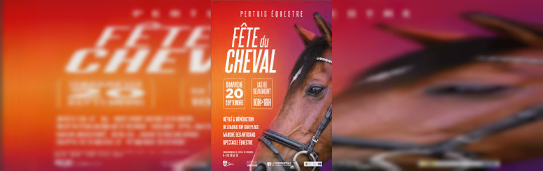 La Fête du cheval à Pertuis