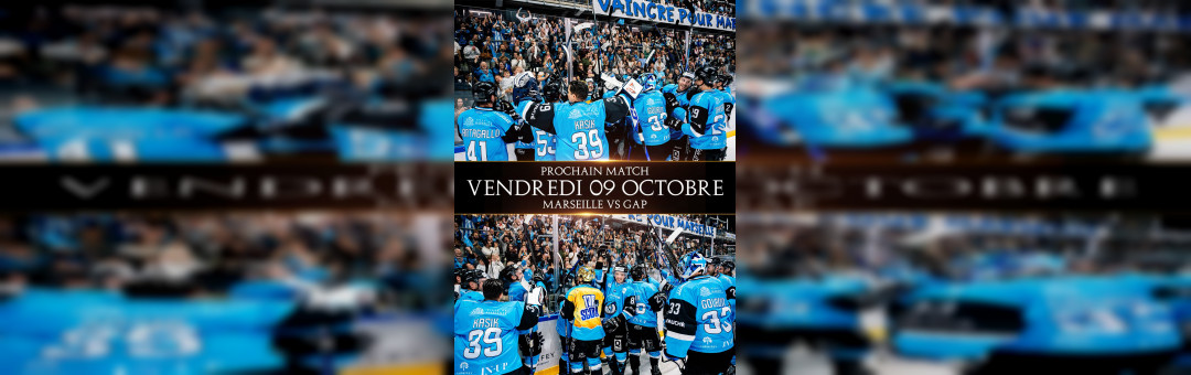 Hockey Ligue Magnus : les Spartiates leaders du championnat reçoivent Gap vendredi soir !