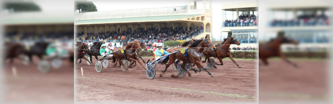 Hippodrome de Salon De Provence