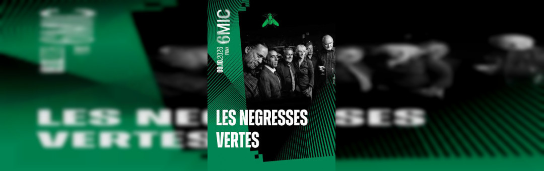 les Négresses vertes au 6Mic