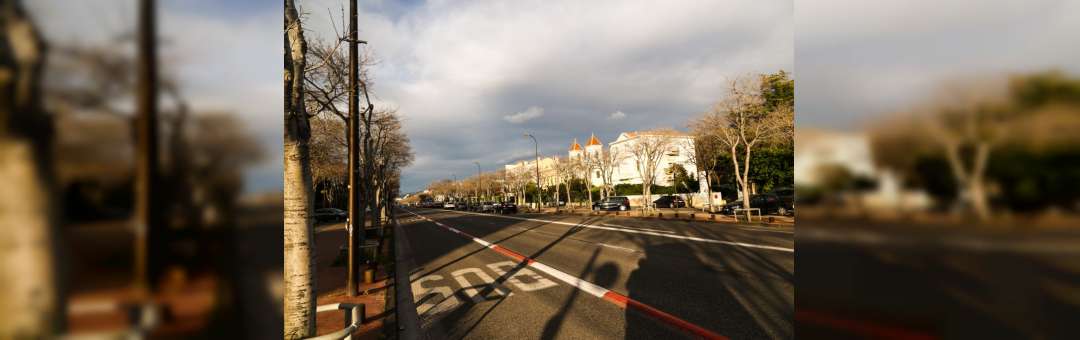 Avenue du Prado