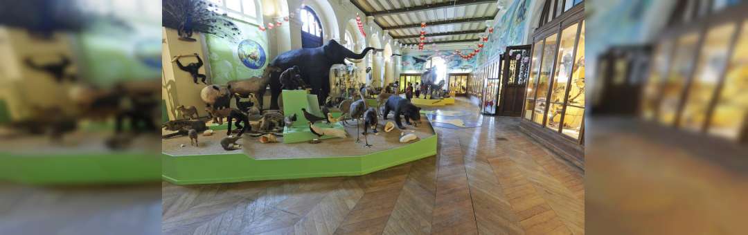 Expositions permanentes du Muséum d’Histoire Naturelle de Marseille