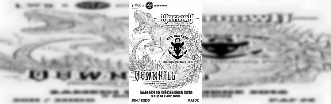 Hardcore Show!!! W/ Meltdown, Rats Don’t Sink & Downhill