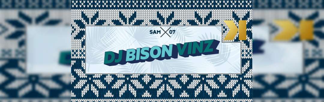 DJ Bison Vinz