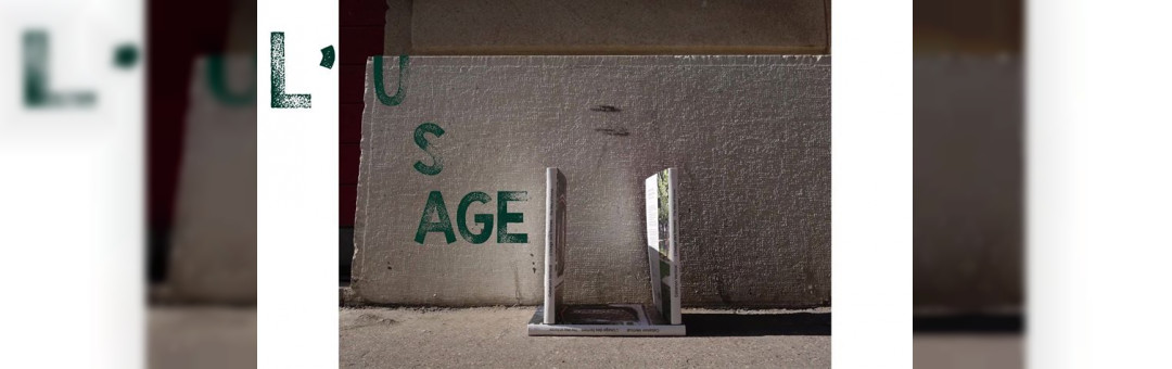 ◢ L’usage des Formes ◣ lancement du livre