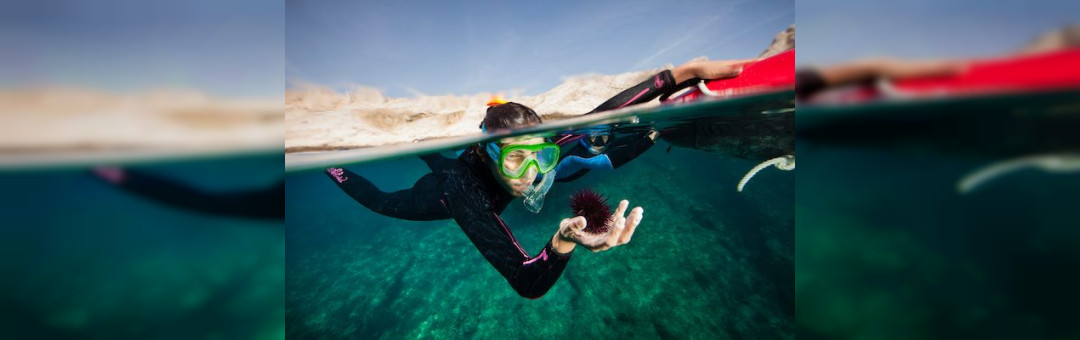 Balade aquatique « palme, masque, tuba » (snorkeling)