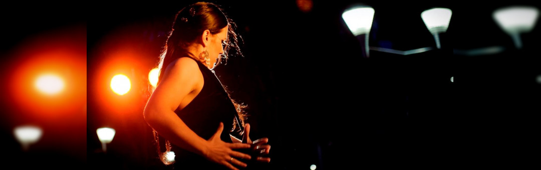 Tablao Sandie Santiago