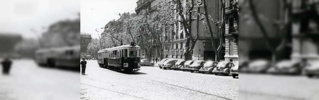 Le Tramway de Marseille, diaporama de David Haccoun