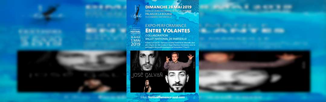 Exposition Performance / « Entre Volantes » \ Flamenco Azul
