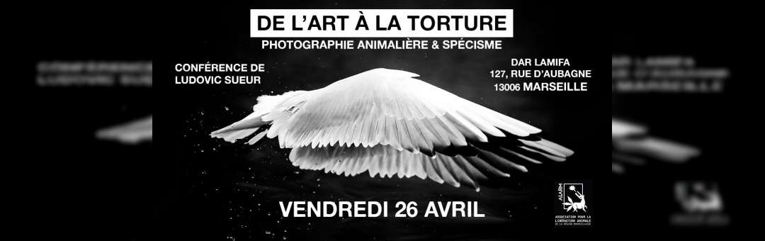 De l’Art à la torture – Photographie Animalière et spécisme