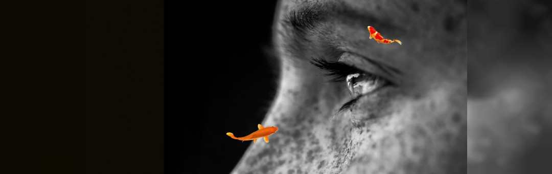 Université populaire : Homéopathie, une autre voie (Projection)