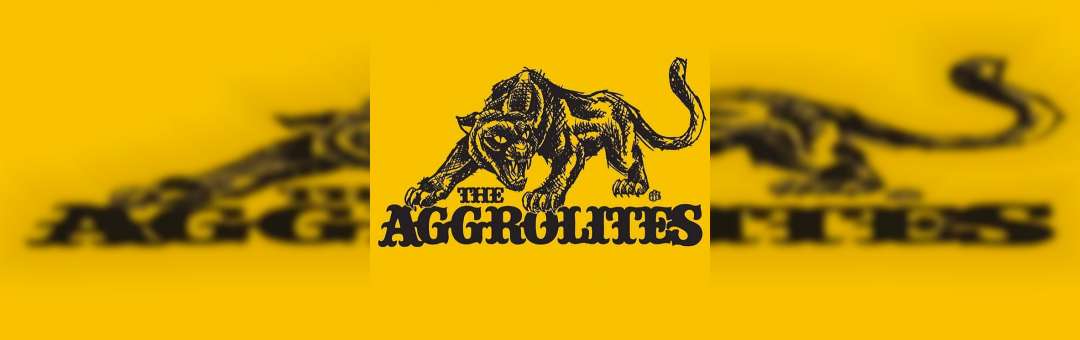 The Aggrolites ( Reggae – Ska – Rocksteady from L.A )