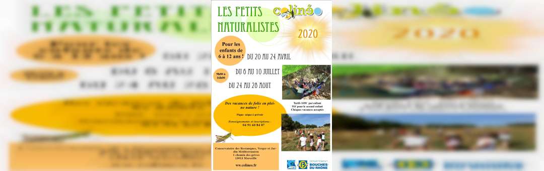 STAGES PETITS NATURALISTES 2020