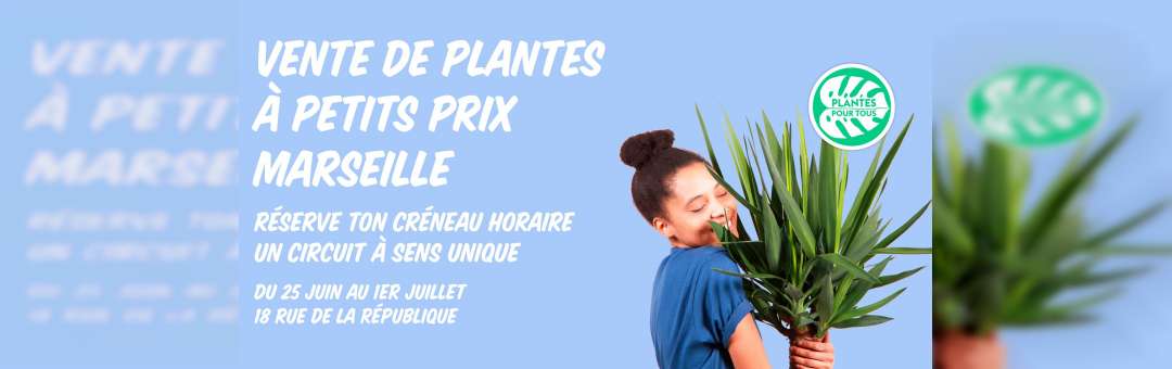 Vente de Plantes à petits prix Marseille
