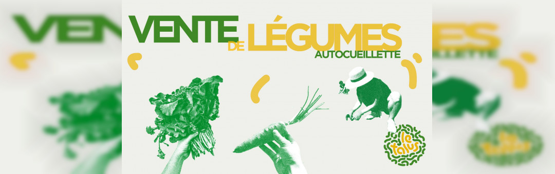 Vente de légumes | LeTalus