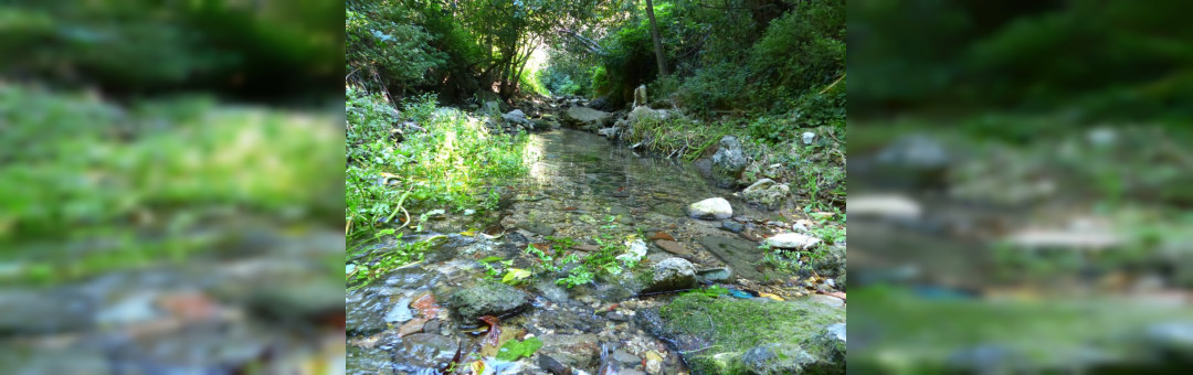 Cascade des Aygalades
