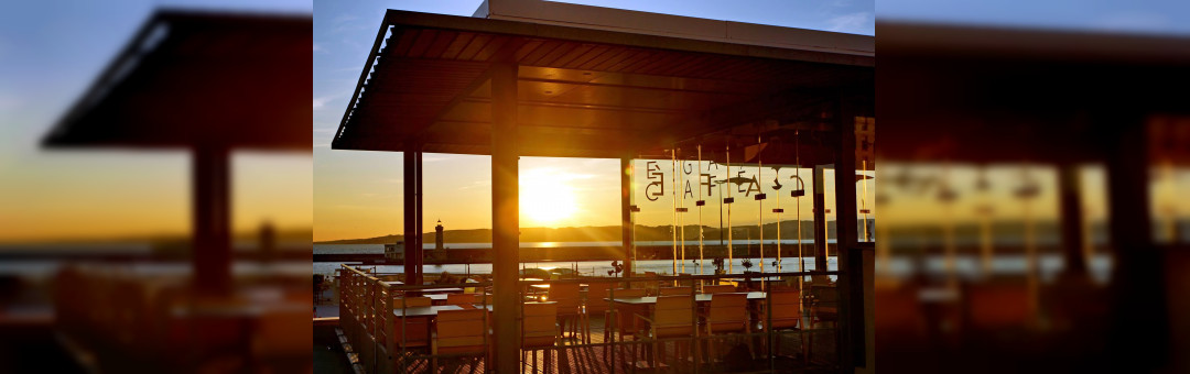 Suivez notre Regards #4du 7 juillet au 25 août