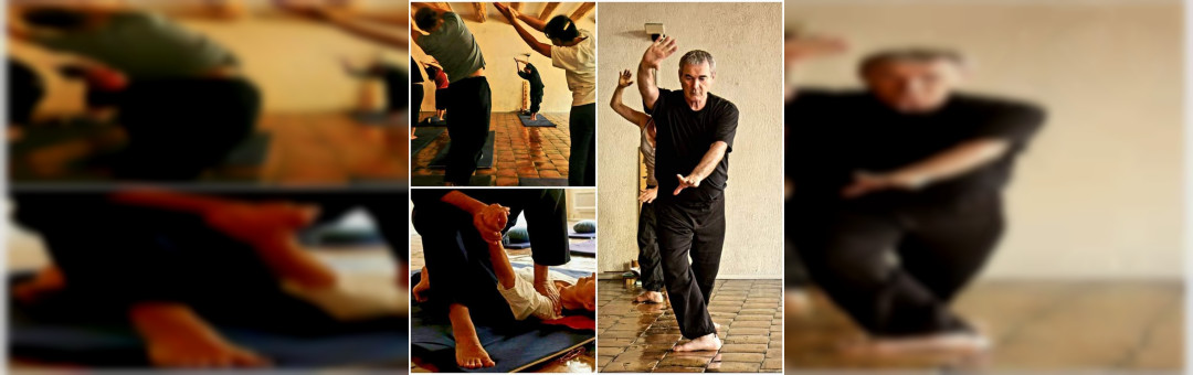 Portes ouvertes du Dojo Iokaï : Shiatsu, Taiji-Quan, Do-In, Yoga