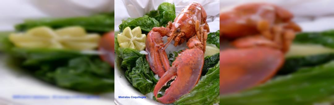 Mistralou Coquillage