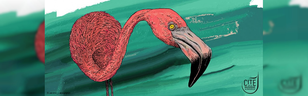 The Flamingo Quartet