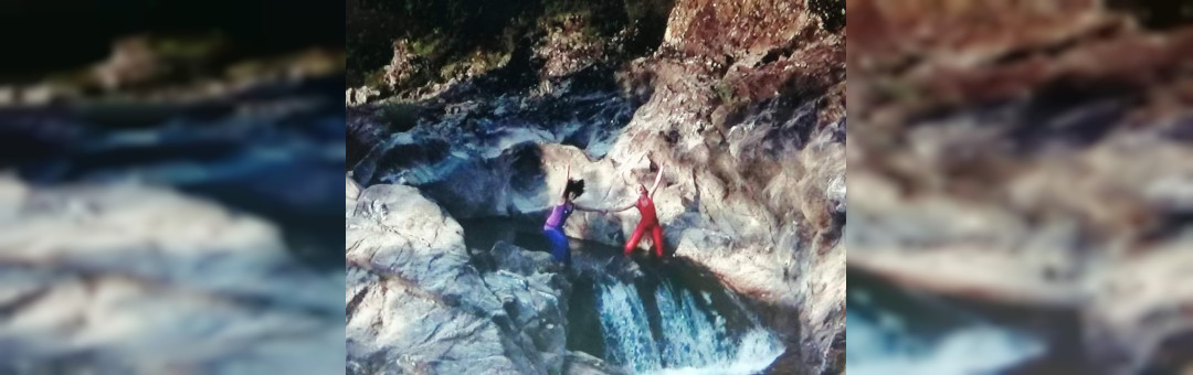 stages danse- INCORPORER SES RÊVES-