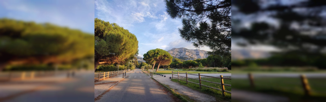 A ton allure – La course de 5 km #5