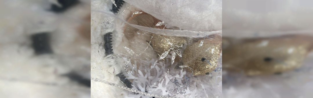 Cadre blanc d’hiver (spectacle dès 6 mois)