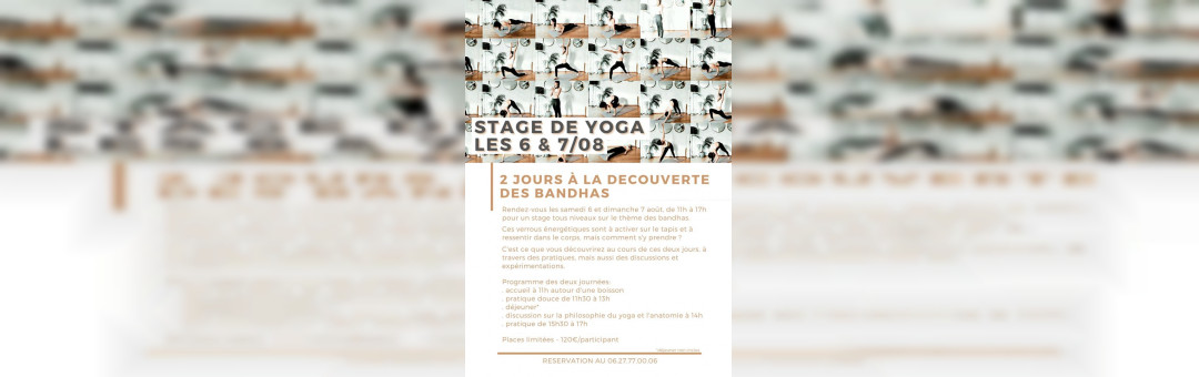 Stage de yoga tous niveaux