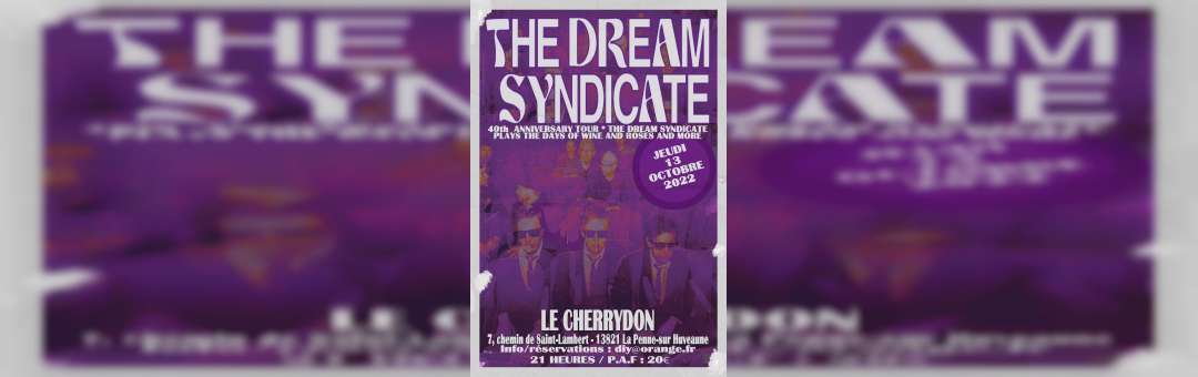 CONCERT THE DREAM SYNDICATE