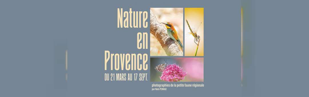 Nature en Provence, photographies de la petite faune régionale par Naïs Pénagé