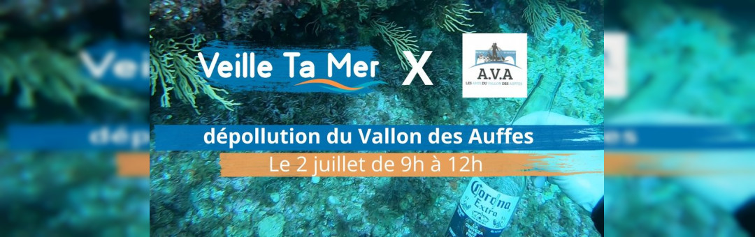 Coup de propre sur le Vallon des Auffes