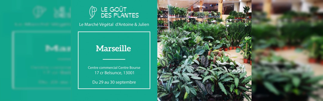 Grande Vente de Plantes // MARSEILLE