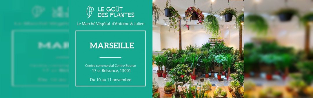 Grande Vente de Plantes // MARSEILLE