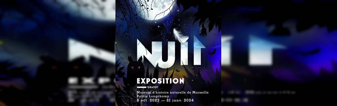 Nuit