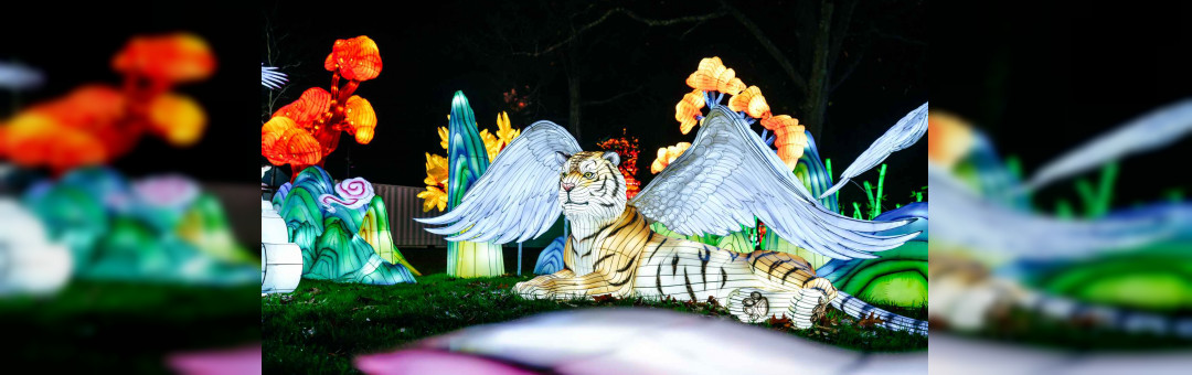 Festival des lanternes