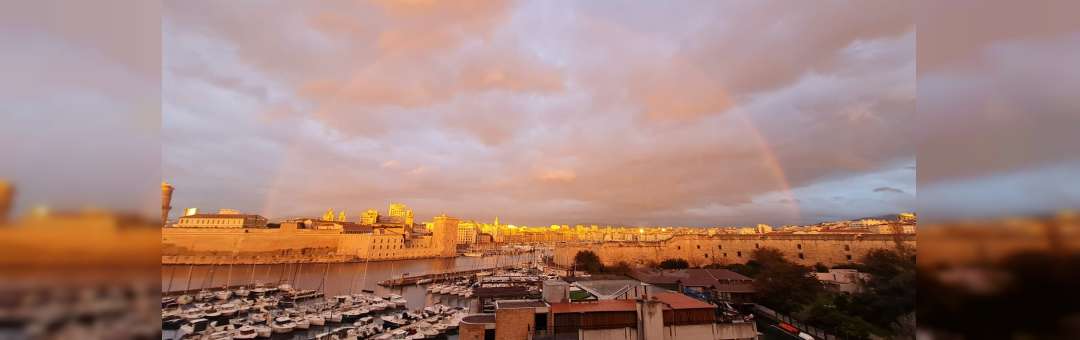 Plongez dans la magie des Fêtes au cœur du Sofitel Marseille Vieux-Port