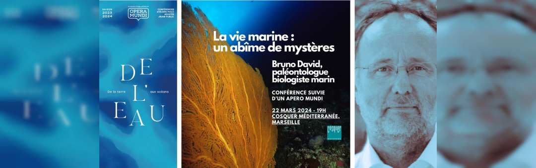 La vie marine : un abîme de mystères