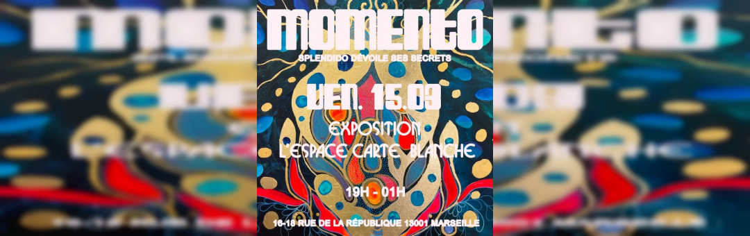Les Soirées Expositions du Momento