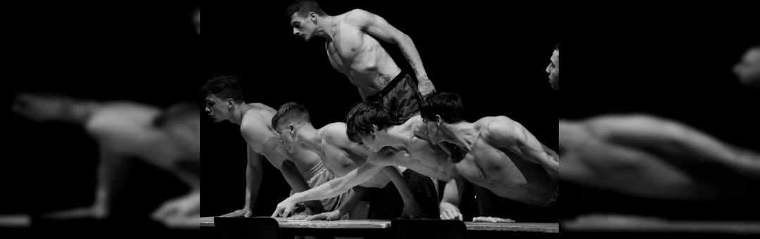 Rêves de cirque à Martigues jeudi 19 décembre