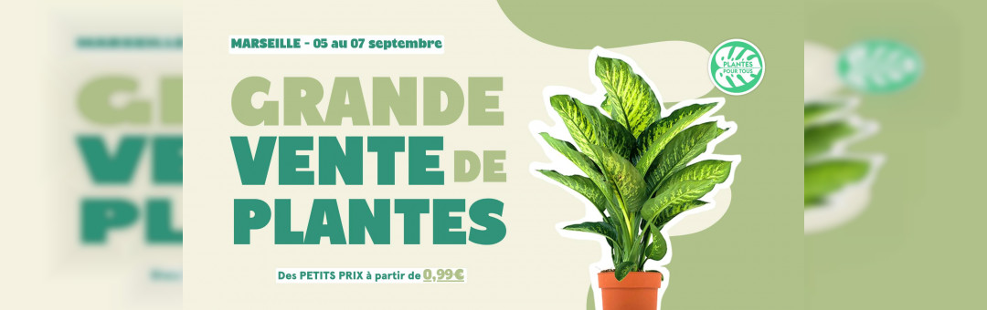 Grande vente de plantes