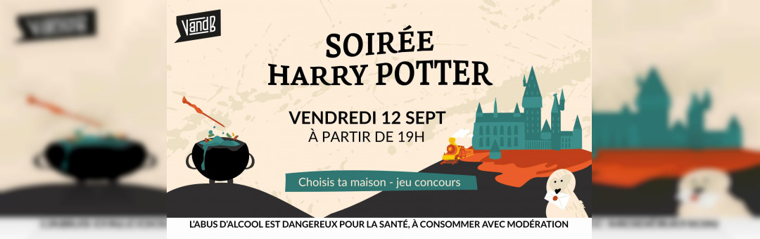 Soirée Harry Potter au V and B République