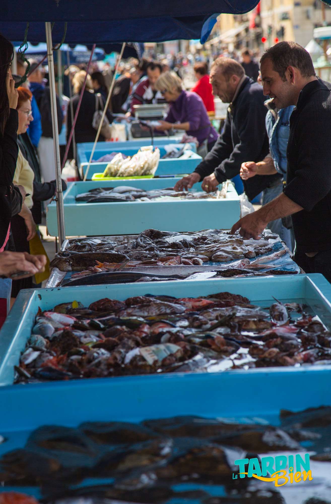 Marche Aux Poissons Du Vieux Port Tarpin Bien